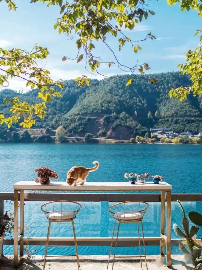 春天最美的8个古镇适合小住三天享受慢生活