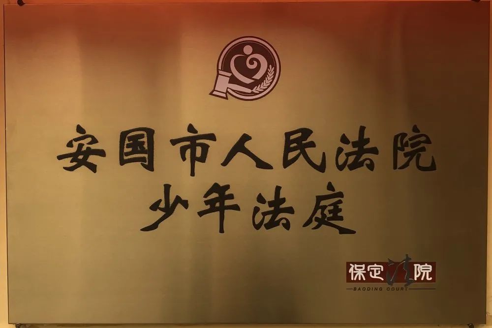 安国市人民法院举行少年法庭挂牌仪式