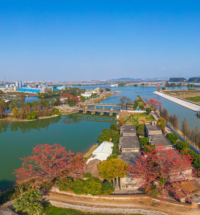 染红新会的春天赏就对了