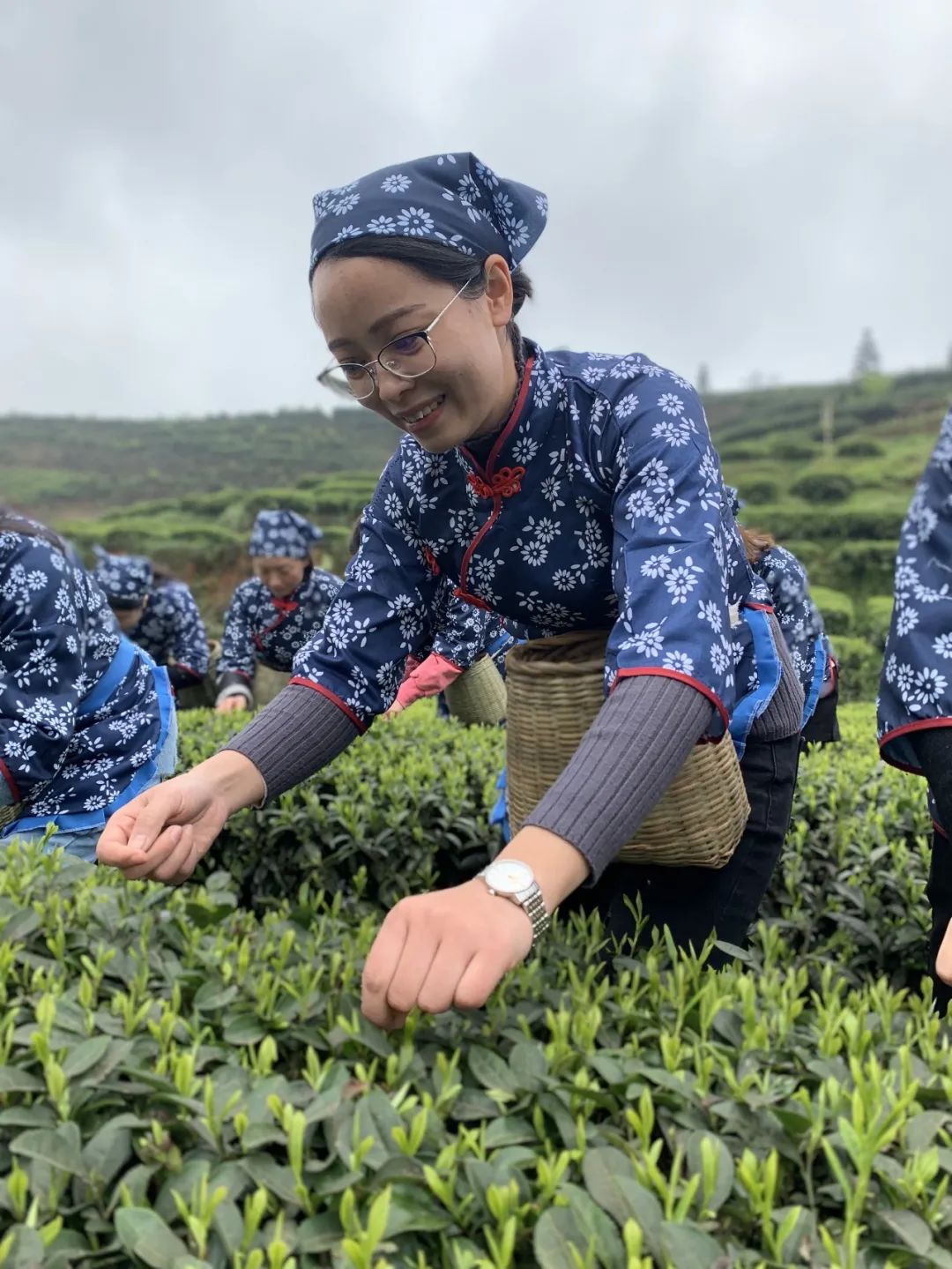 三八特辑沐浴春光和畅品闻茶香满园