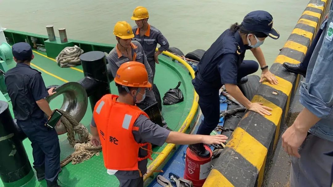 全国巾帼建功标兵杨利敏铿锵玫瑰绽放在海关一线