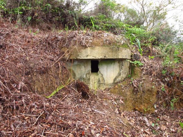 日軍在港建設軍事設施遺蹟鹿頸槍堡群軍事設施遺蹟與文物