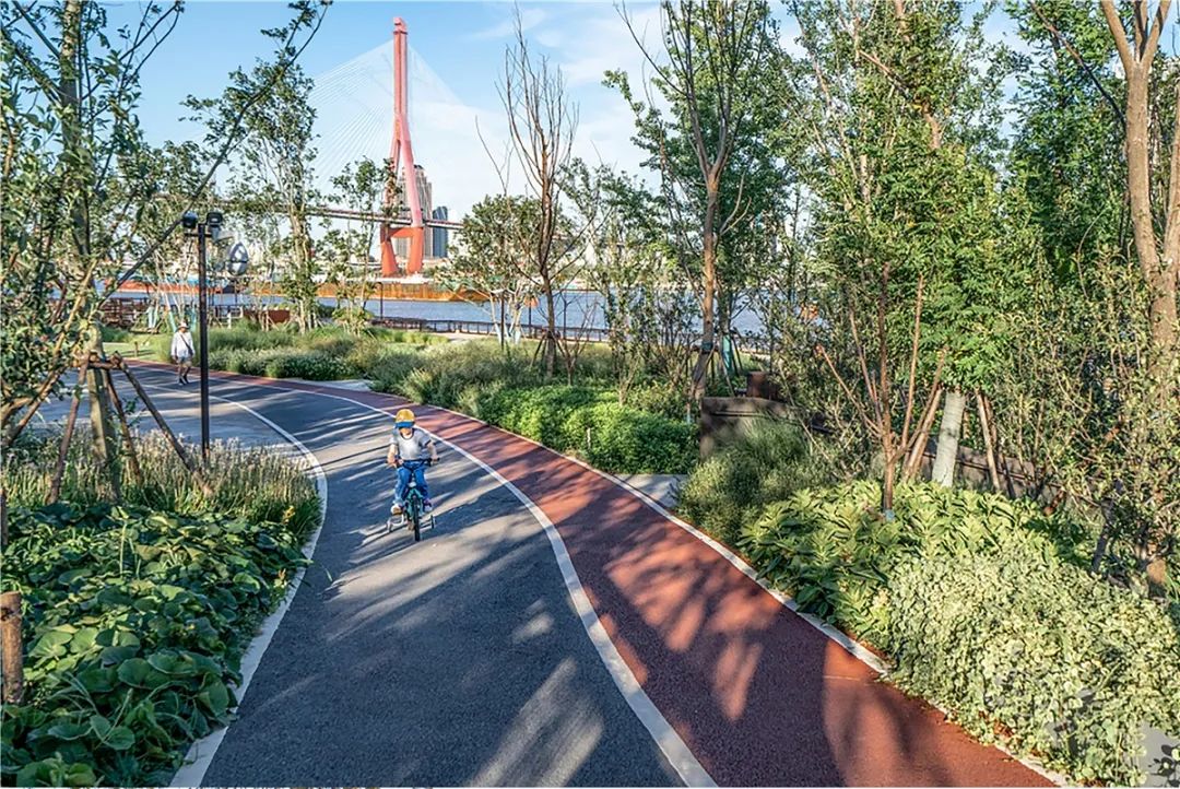 辰山矿坑花园徐汇滨江公园绿地竟都是废弃地改造成的