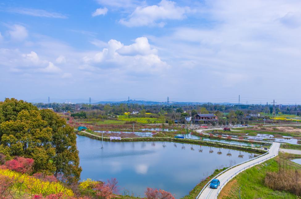 唐昌镇横山花湖图片