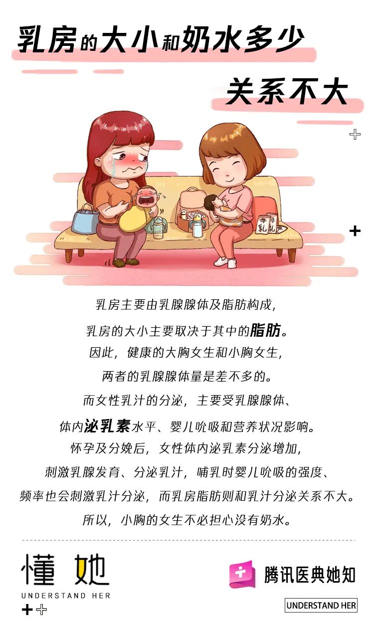 哺乳妈妈奶水多少和乳房大小有关吗