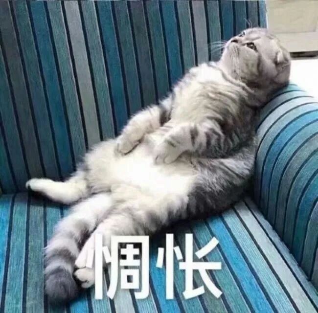 印象紫云丨神兽们开学啦家长们你们真的解放了吗