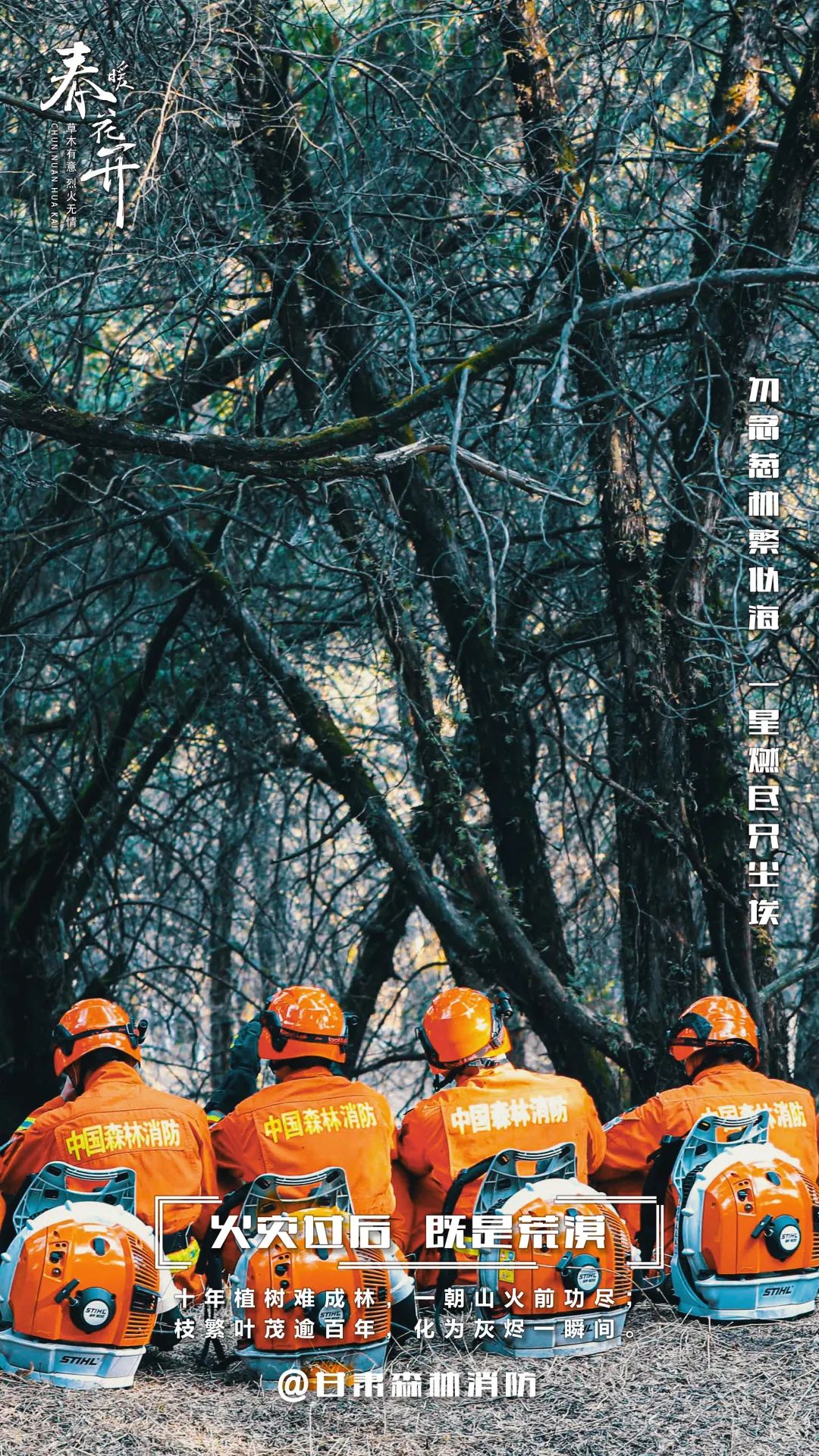 植树节甘肃森林消防邀您换壁纸啦