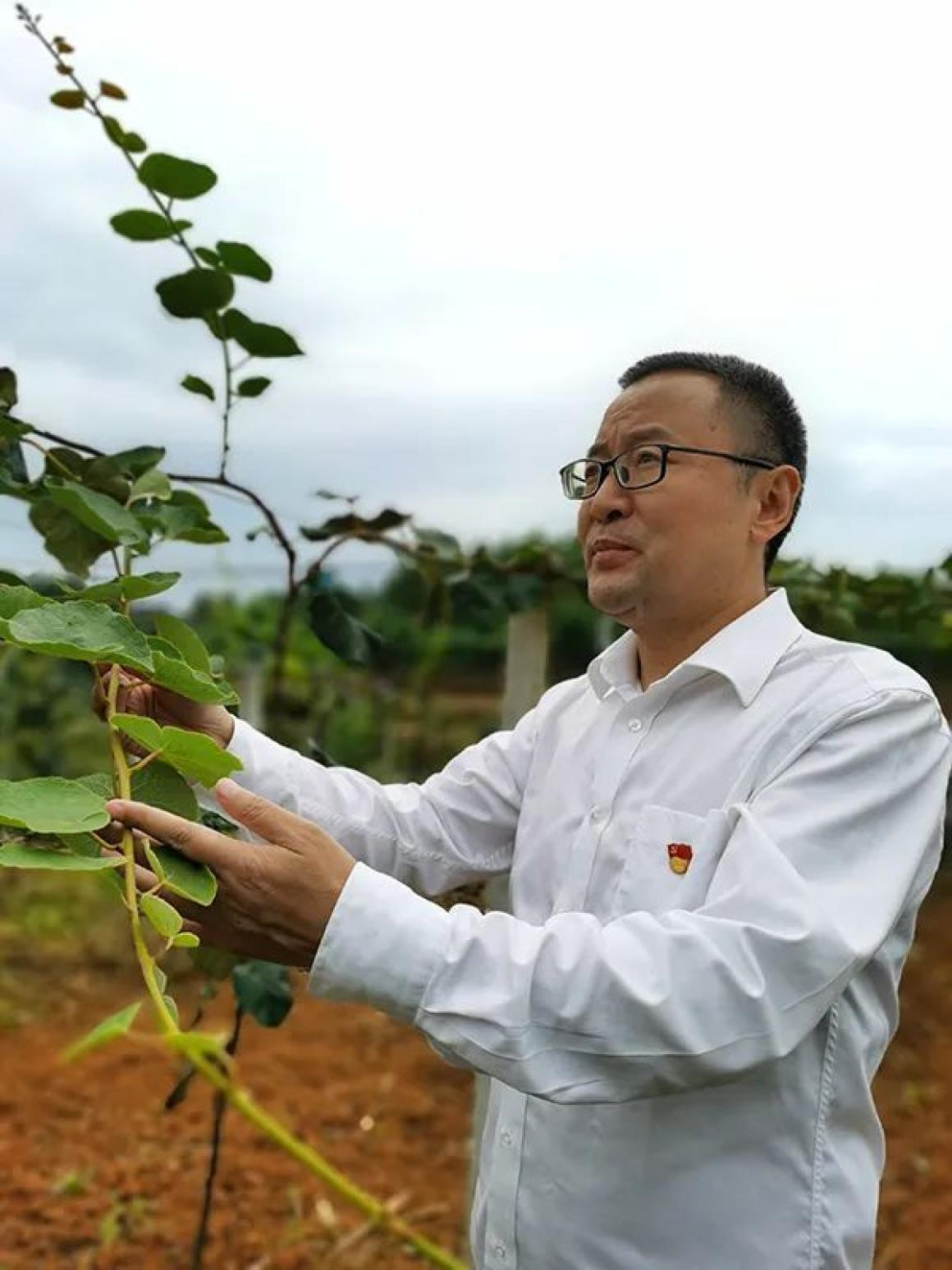 亲历和见证伟大的时代记全国脱贫攻坚先进个人李光辉