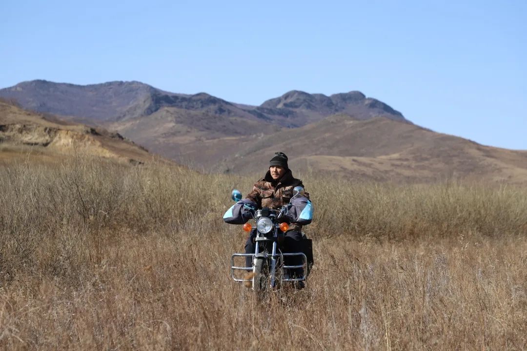 弘扬蒙古马精神身边的榜样大山深处的守林人