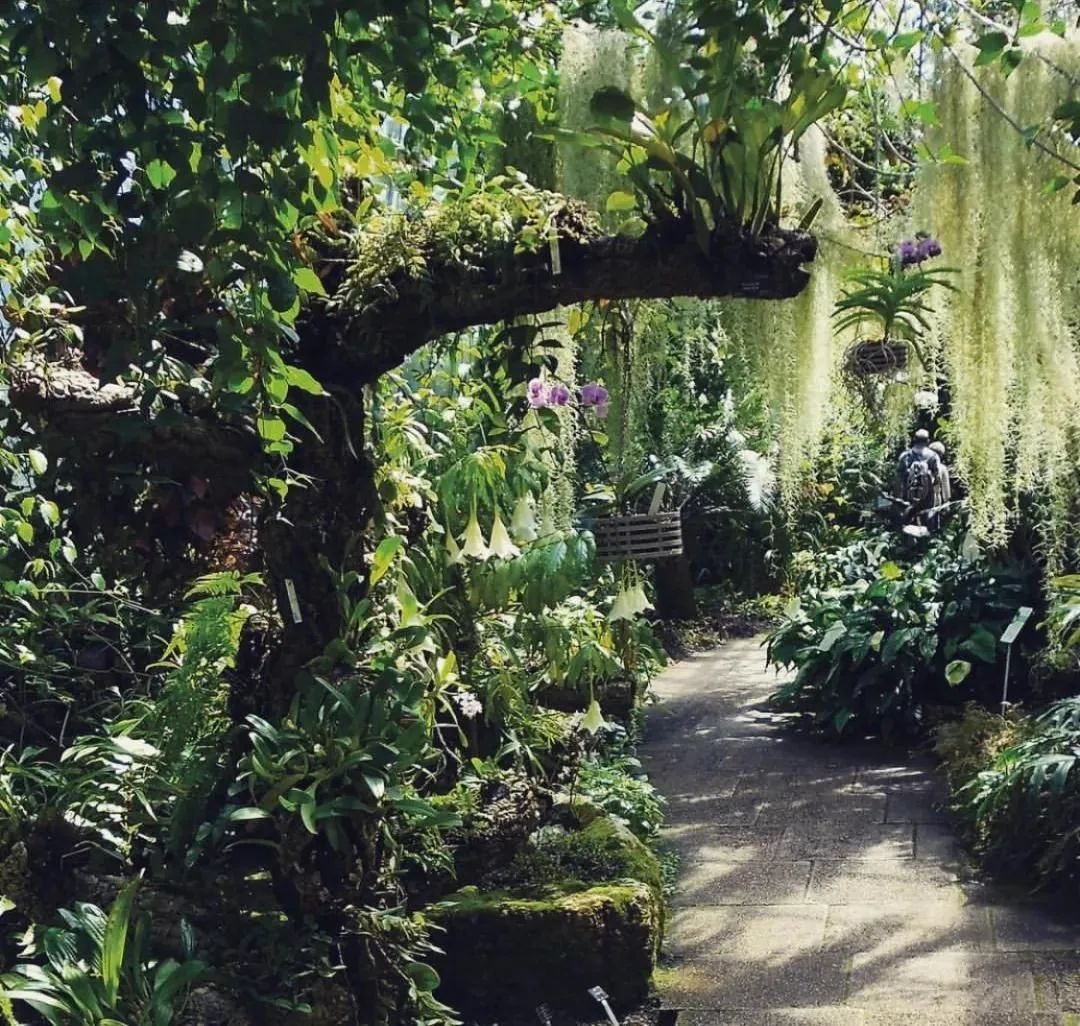 国外植物园赏析英国爱丁堡皇家植物园