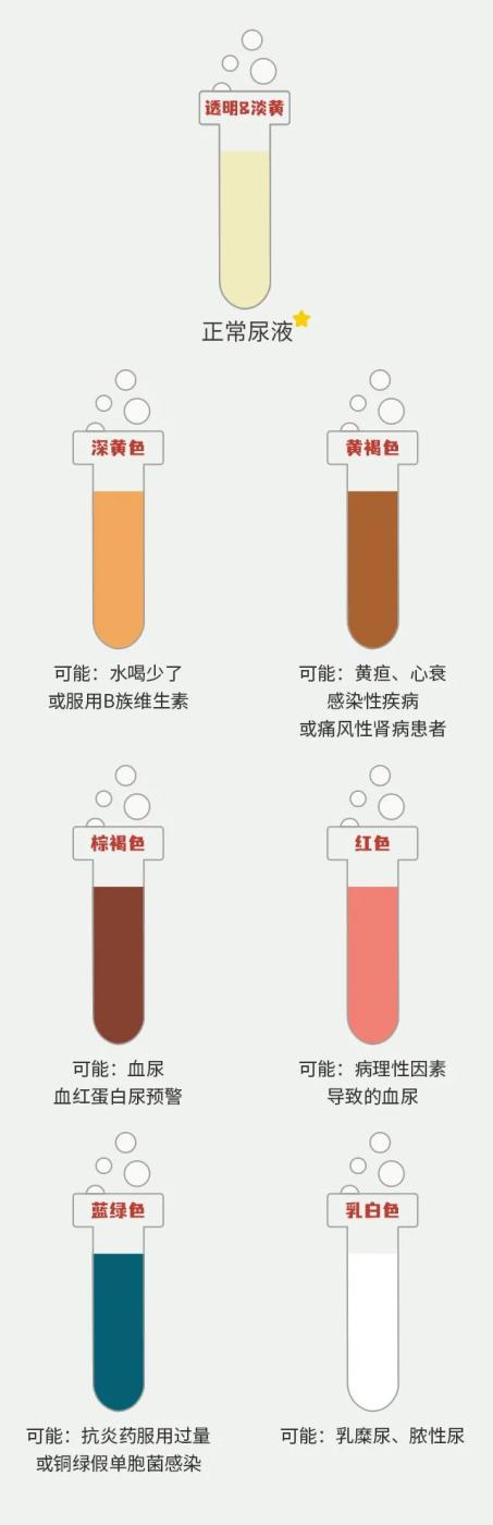 作为健康状况的"显示器",很多疾病的征兆都会通过尿液的颜色反映出来.