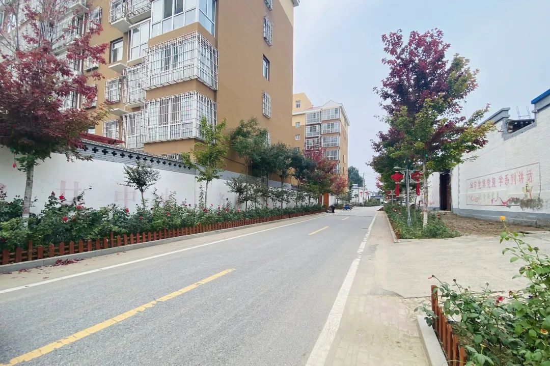 聚焦"五新"目标,增进民生福祉,朱各庄镇在行动!