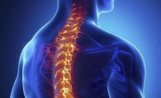 脊髓损伤的逆转，从修复轴突损伤开始