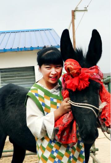决胜时刻小毛驴成大产业津甘协作奔小康