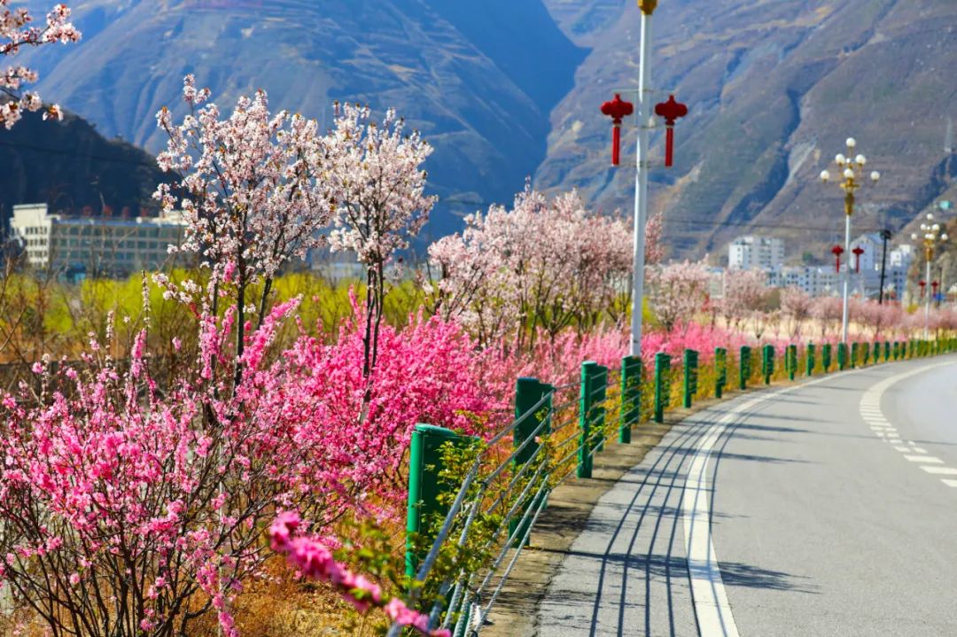 阳春三月我在舟曲等你来赴约