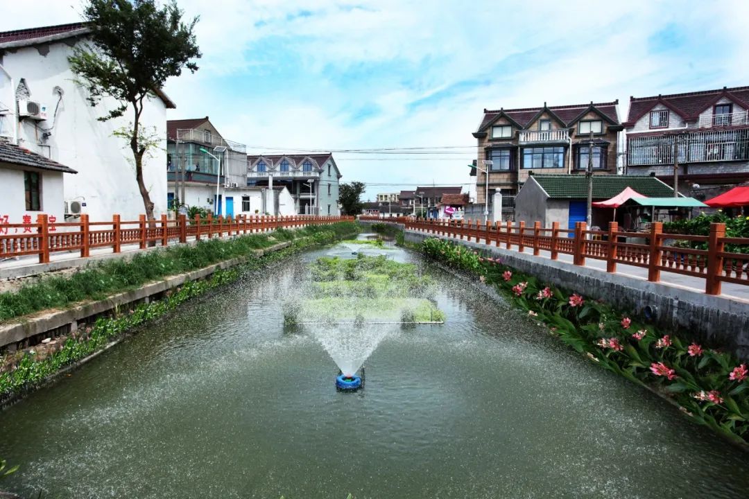 两会期间中央广播电视总台点名奉城镇高桥村是因为