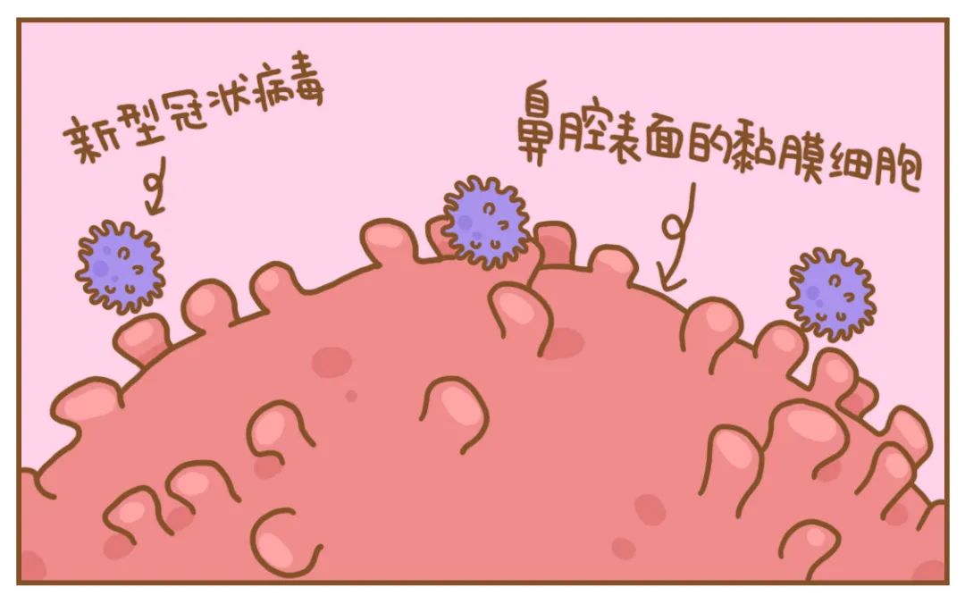 就能减少鼻屎形成还可以往鼻腔里喷点生理盐水把鼻屎泡软了擤出来如果
