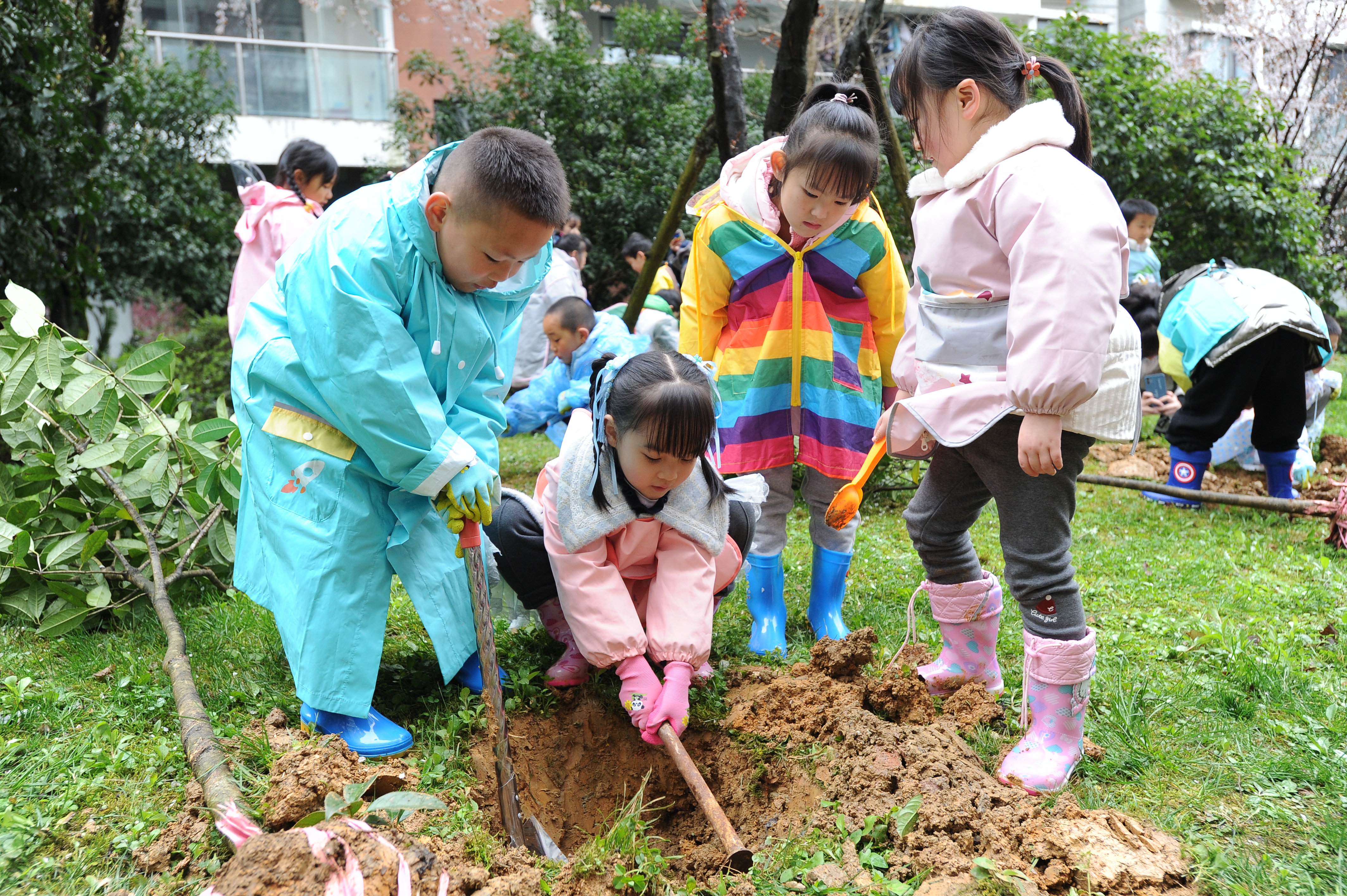 小朋友在植树活动中努力挖出土坑