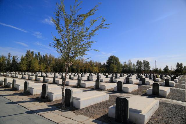 走进东风革命烈士陵园,一眼就能望见王来烈士墓前那株榆树,在760多位