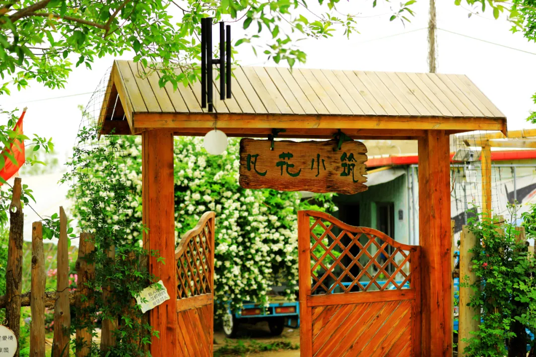 澎湃新闻客户端