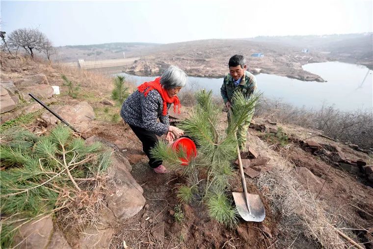让村东的马陵山变绿刘吉传从小就有一个绿色的梦想刘吉传:开荒十余载