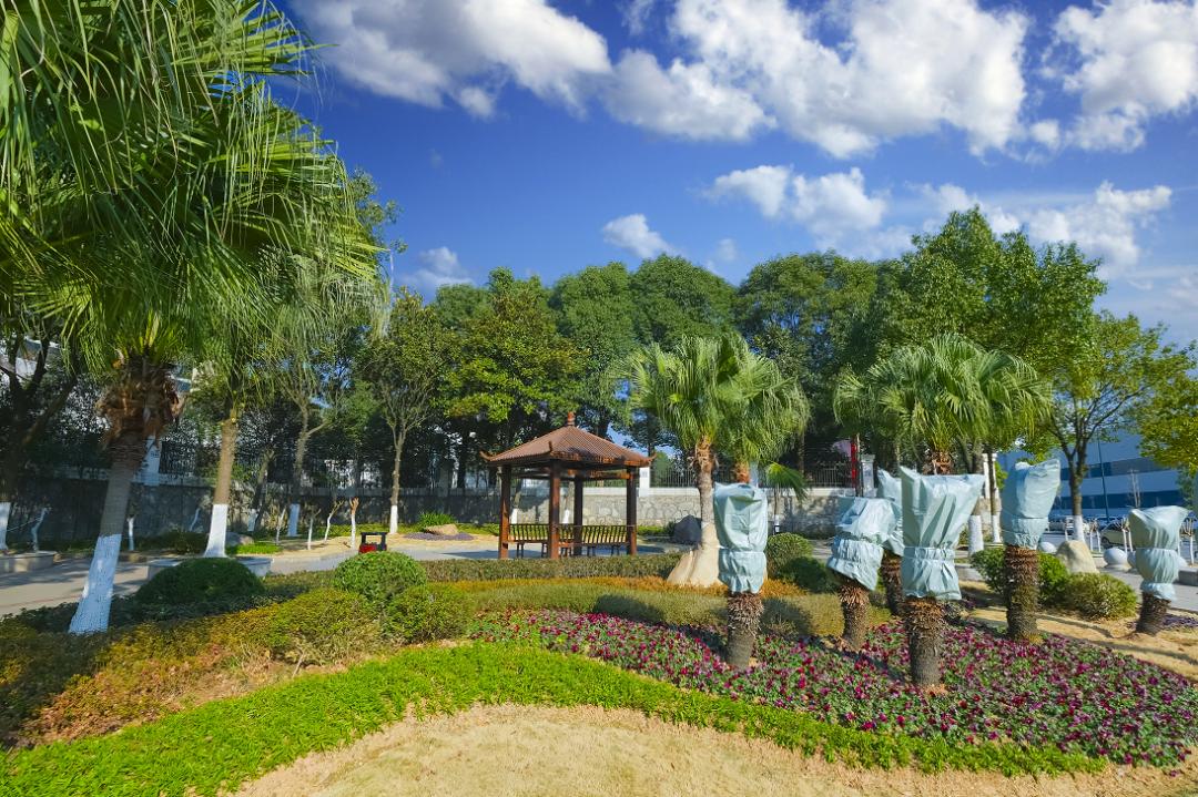 星沙绿爱了爱了