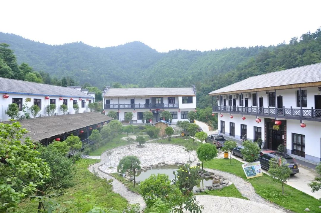 街道,楊家弄村,南流橋屋場荷花街道,楊家弄村,祥和農莊沿溪鎮沿溪鎮