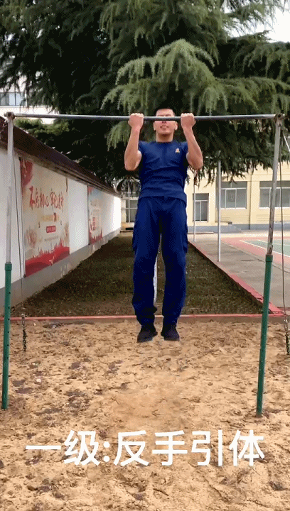 反手引体01你敢挑战吗十级引体向上的演示蓝朋友就为我们带来了今天