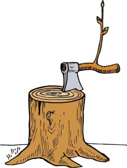 以案说法 | 还在乱砍滥伐?小心触犯刑法!