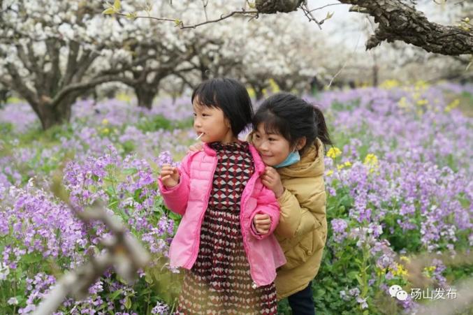 26项活动！2021中国·砀山梨花节将于3月24日