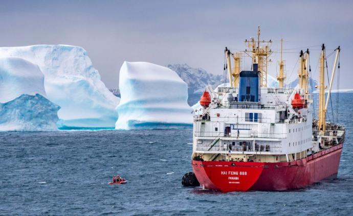 这些渔船大老远跑去南极，却只捞小虾米？