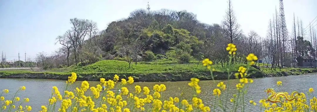 【金小博说】张堰有座山,山上都有啥?你猜猜猜.