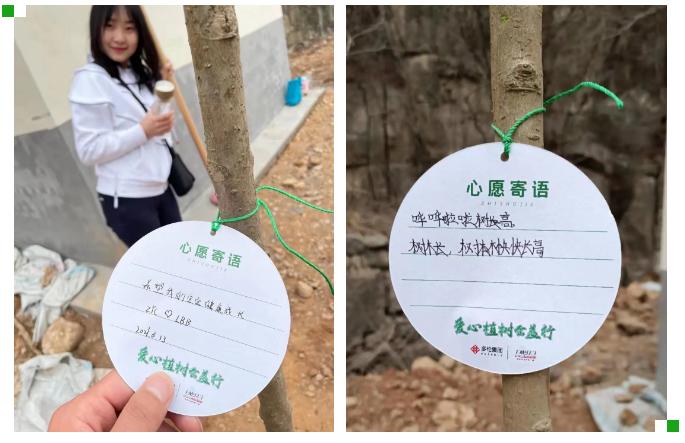还有大家的心愿卡 据说 把心愿卡挂在树上 梦想终将有一天会实现