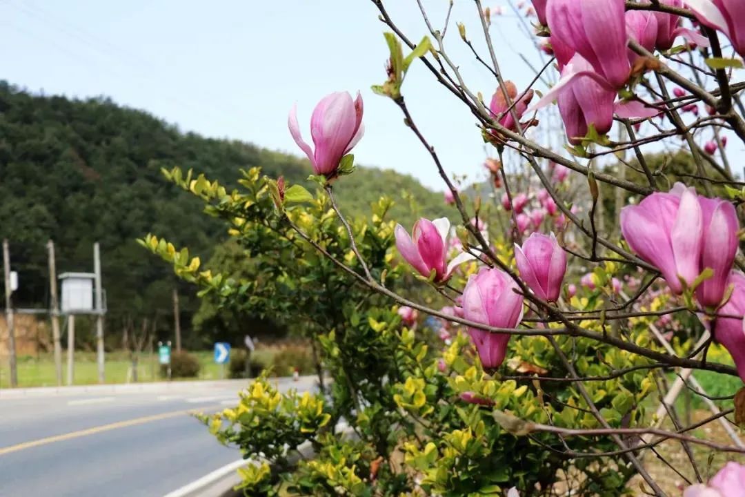 骑行游玩的句子_骑行游_骑行游戏/