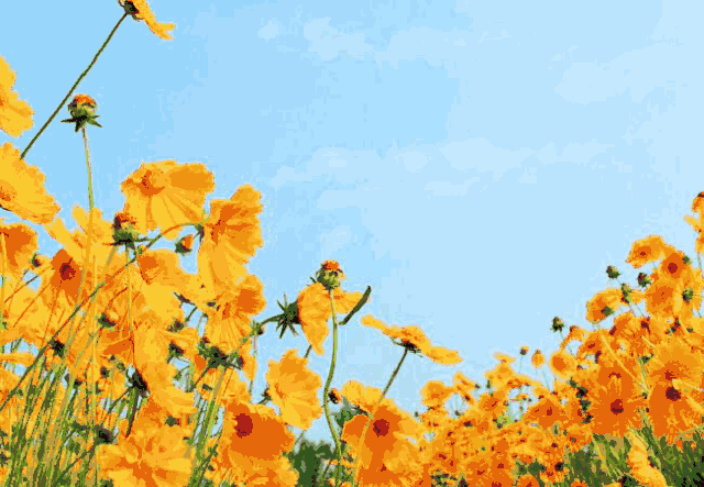 又是姹紫嫣红争相斗艳时暖春三月阳光明媚 春意盎然权威发布 服务民生