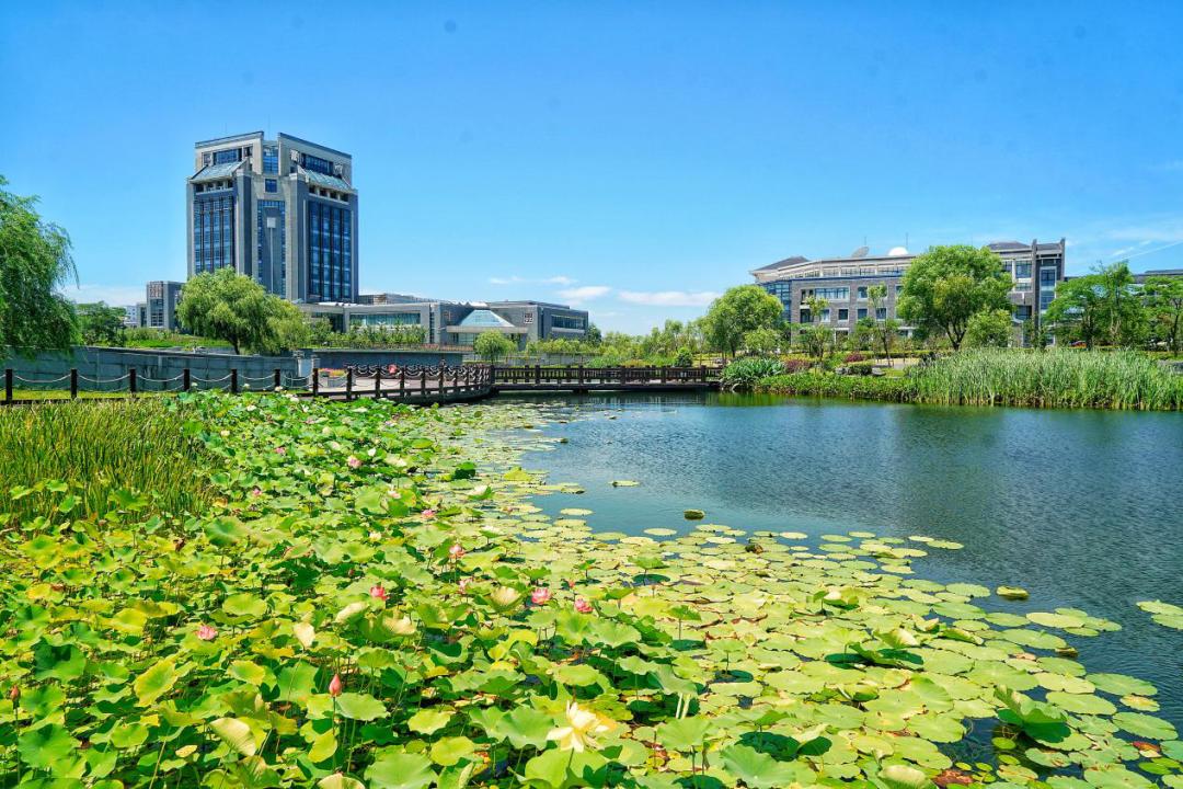 播种春天,这里有一份海大美景待查收