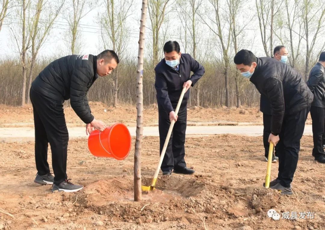 威县干部群众义务植树人勤春来早种绿正当时