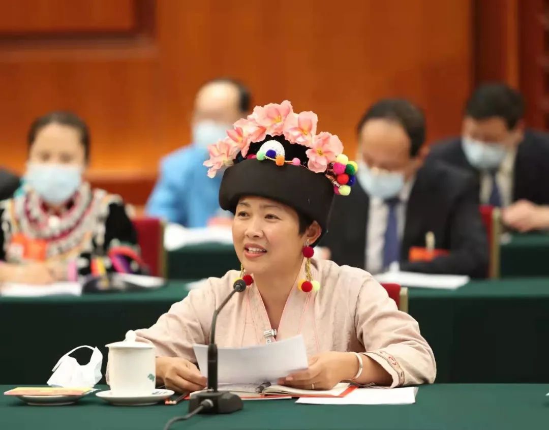 圆满完成十三届全国人大四次会议各项任务西双版纳州的