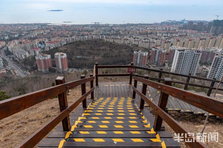 终于藏不住了花海山城好一幅青岛春景图