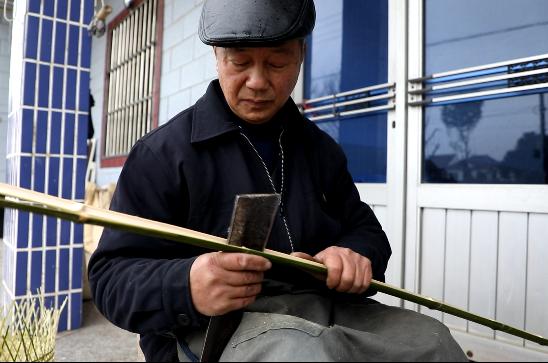 蔡国贤站在屋后的小竹林里,对比着两株颜色不一的