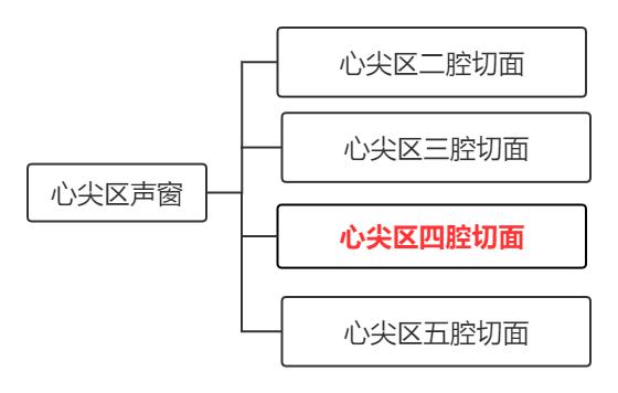 心尖区图片图片