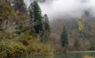 《綠》和《濟(jì)南的冬天》寫景特色