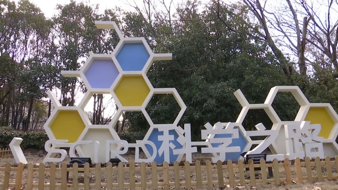 上大附中,上海大学附属小学等校园文化,打造道路环境景观小品,增添