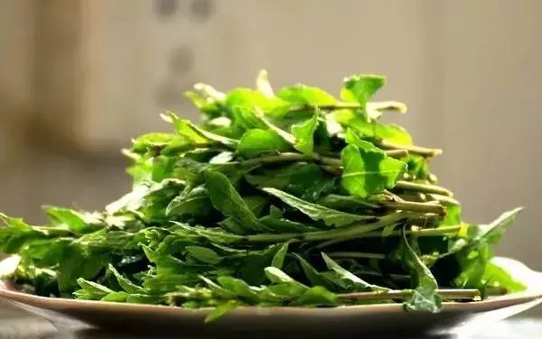 恩施人春天必吃的10种野菜营养又美味
