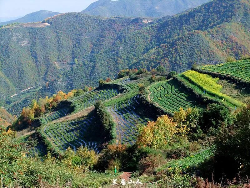 幹鎮林場,被譽為金城蘭州的休閒後花園,與榆中縣興隆山同屬馬銜山山脈