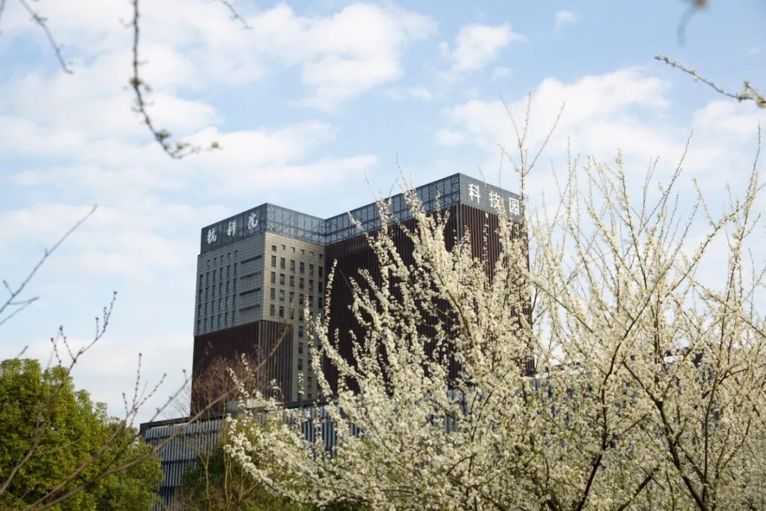 浙江理工大学图书馆官网 职高？大专？本科？硕士 杭州旅职帅哥9年打通关