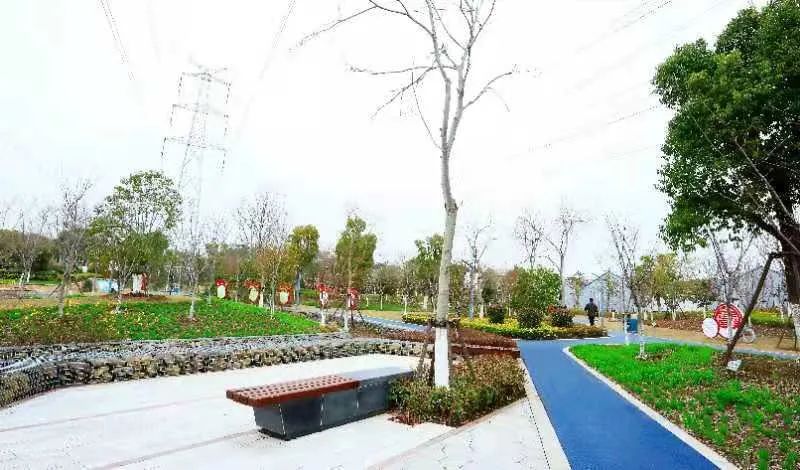 180路,闵行15路,156路,闵行25路,闵行14路等金竹休闲绿地金竹休闲绿地