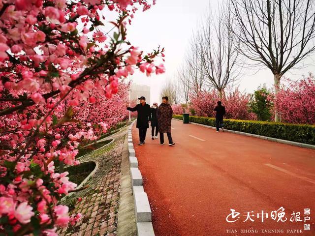 西平海棠花开醉游人