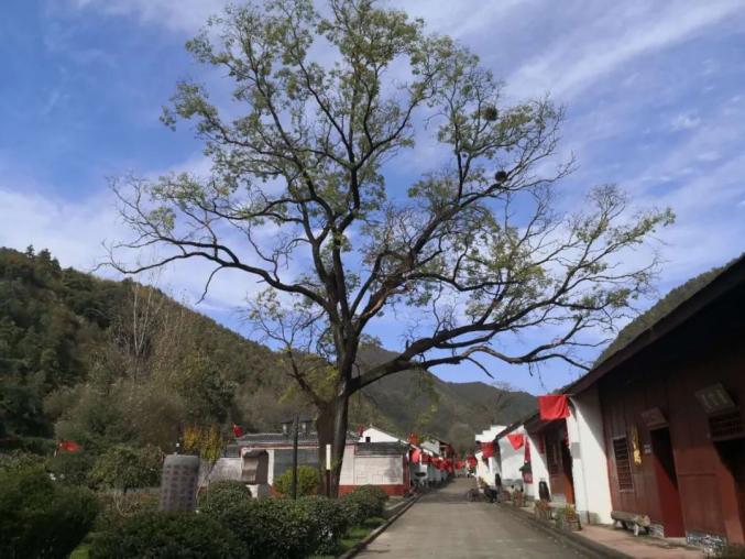 明理增信崇德力行1932年党在这里打响甘肃境内革命武装斗争第一枪