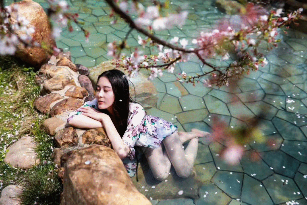 三,赏春花·泡春水77行程特色:参观引江济汉枢纽工程,赏千颂大舞台